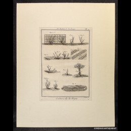 Art Aratoire et Jardinage...