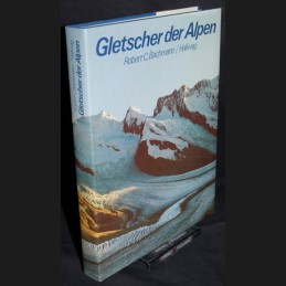 Bachmann .:. Gletscher der...