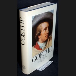 Michel .:. Goethe