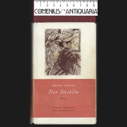 Fontane .:. Der Stechlin