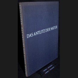 Feininger .:. Das Antlitz...