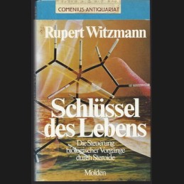 Witzmann .:. Schluessel des...