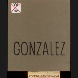 Gonzalez .:. Plastik und...