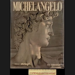 Santini .:. Michelangelo
