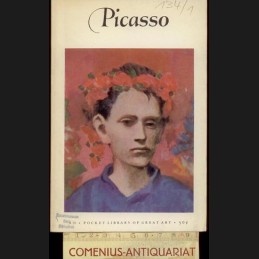 Lieberman .:. Pablo Picasso