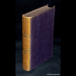 Berner .:. Taschenbuch 1866
