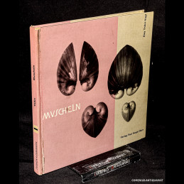 Thoeni-Vogt .:. Muscheln