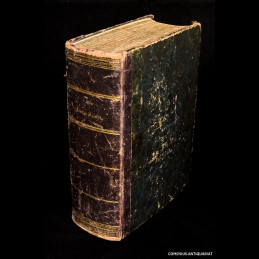 Luther .:. Volks-Bilderbibel